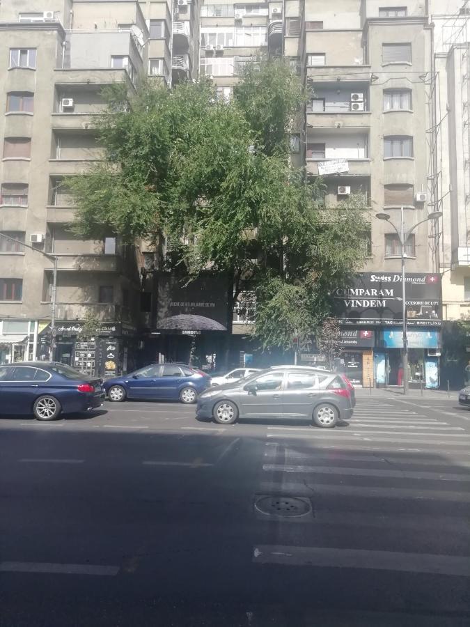 Studio Ultracentral Universitatea Бухарест Экстерьер фото